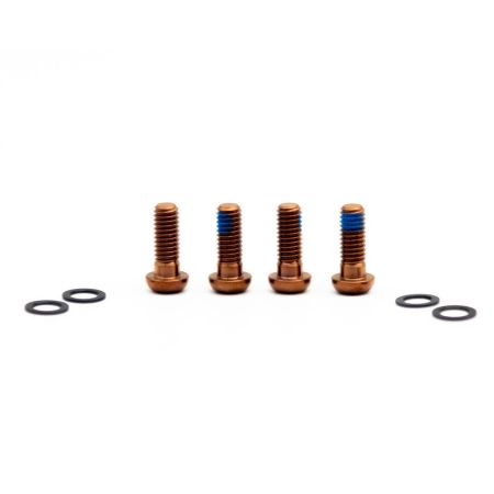 Titan Schrauben Set - M6x16 für Bremsadapter