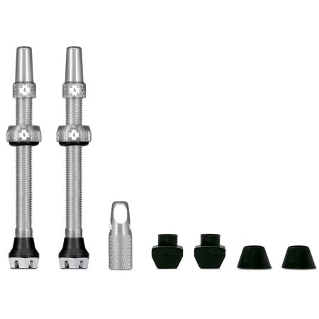 V2 Tubeless Valve Kit
