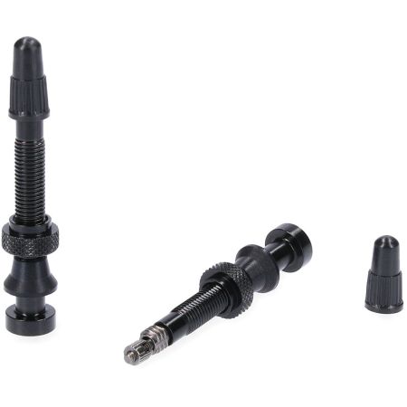 Tubeless Ventil Paar