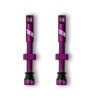 Tubeless Ventil Paar