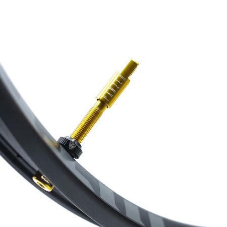 VLV Tubeless Ventil Paar
