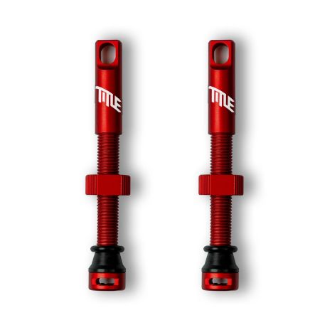 Tubeless Ventil Paar