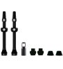 V2 Tubeless Valve Kit