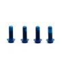 Titan Schrauben Set - M5x15 für Flaschenhalter