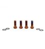 Titan Schrauben Set - M6x16 für Bremsadapter