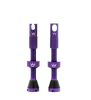 Chris King MK2 Tubeless Ventil Paar