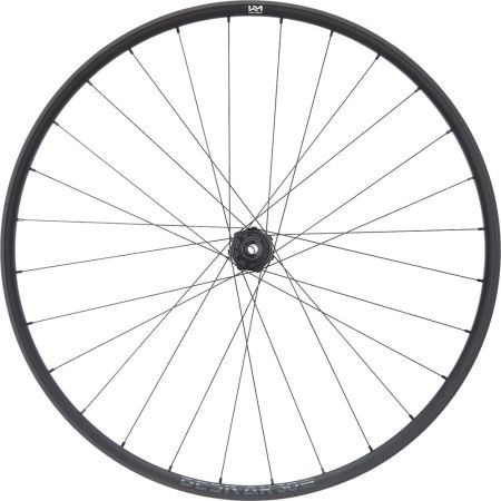 Beskar 30 light Hinterrad