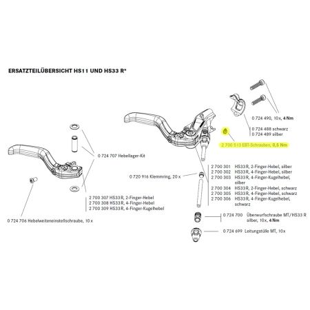 EBT-Schraube mit O-Ring T25 (2 Stück)