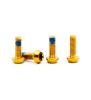 Titan Schrauben Set - M3x9 für SRAM Hebellager & Hope-Deckel