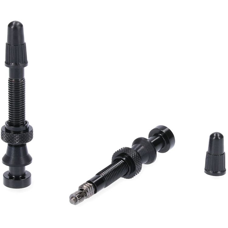 Tubeless Ventil Paar