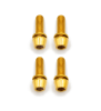 Postmount Titan Schrauben Set – M6x16 für Bremsadapter