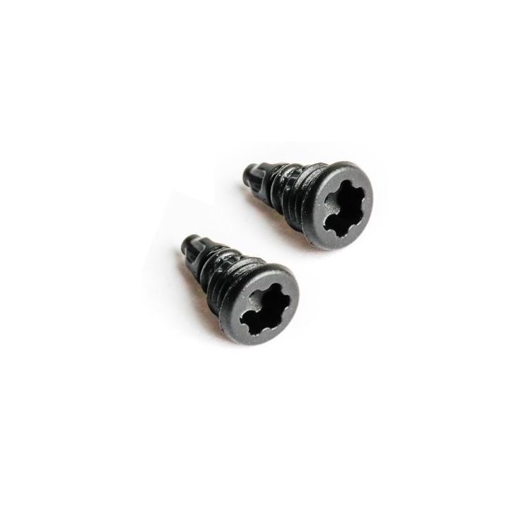 EBT-Schraube mit O-Ring T25 (2 Stück)