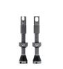 Chris King MK2 Tubeless Ventil Paar
