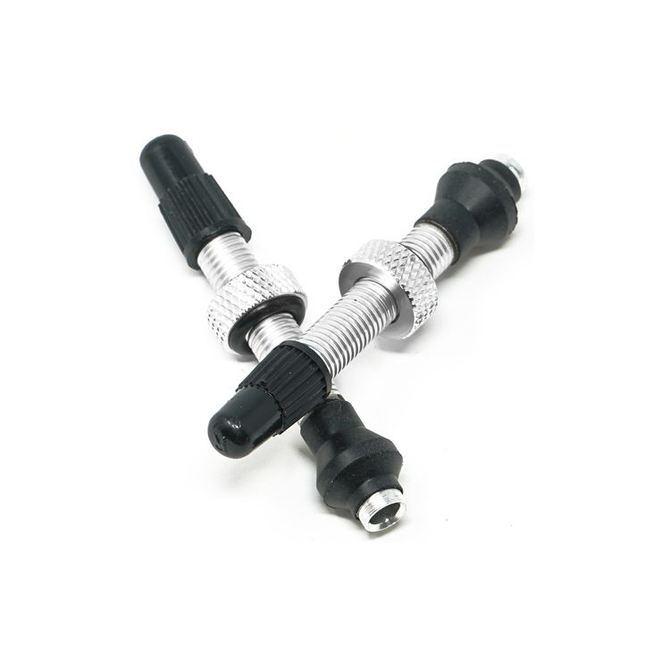 Tubeless Ventil Paar