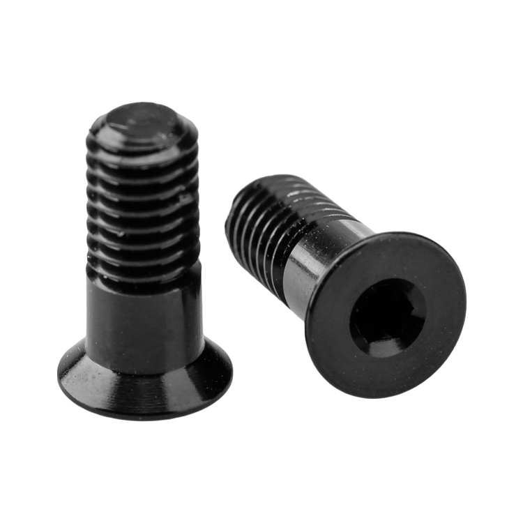 Schaltwerkröllchen Schrauben Set