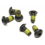 Schrauben 6-Loch Bremsscheibe - 12x M5 Torx