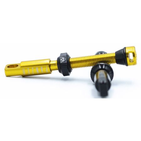 VLV Tubeless Ventil Paar