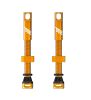 Tubeless Ventil Paar