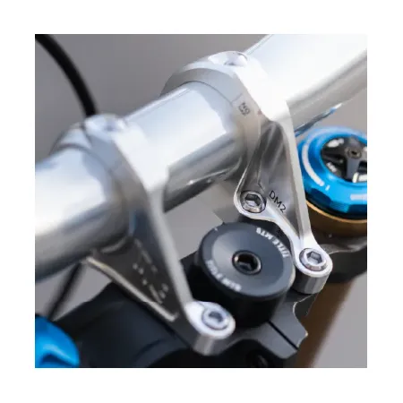 DM2 Vorbau