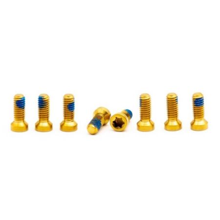 Titan Schrauben Set - M4x9 für 8-Bolt Kettenblattmontage