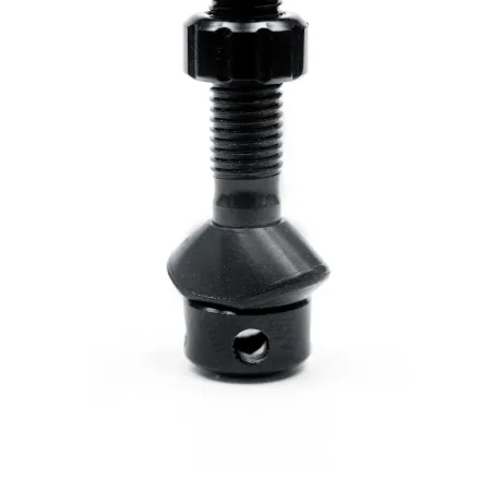 Exo-Core Tubeless Ventil Paar
