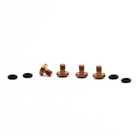 Titan Schrauben Set für SRAM Bleedport Mineralöl