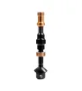 Tubeless Ventil Colour Kit