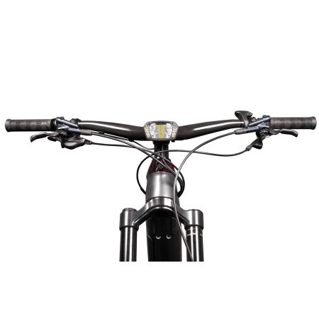 SL X für E-Bikes