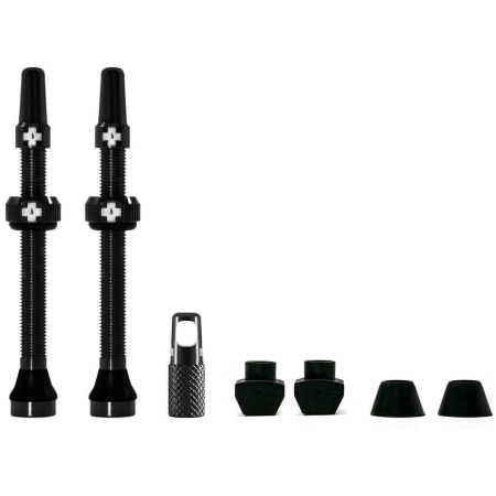 V2 Tubeless Valve Kit