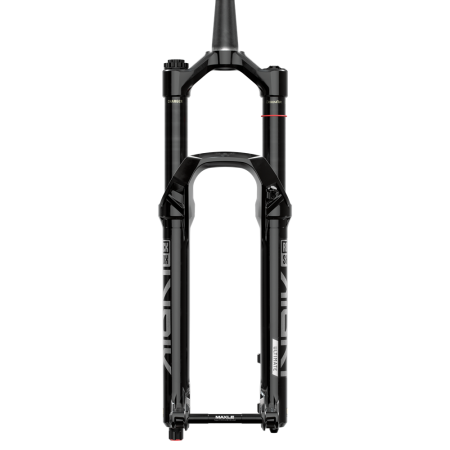 Lyrik Ultimate Charger 3.1 RC2 D2 Federgabel 2025
