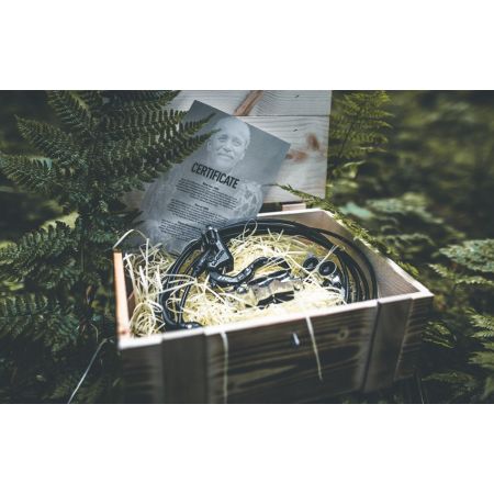MT1893 Scheibenbremse 2019 - Limited Edt.