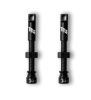 Tubeless Ventil Paar