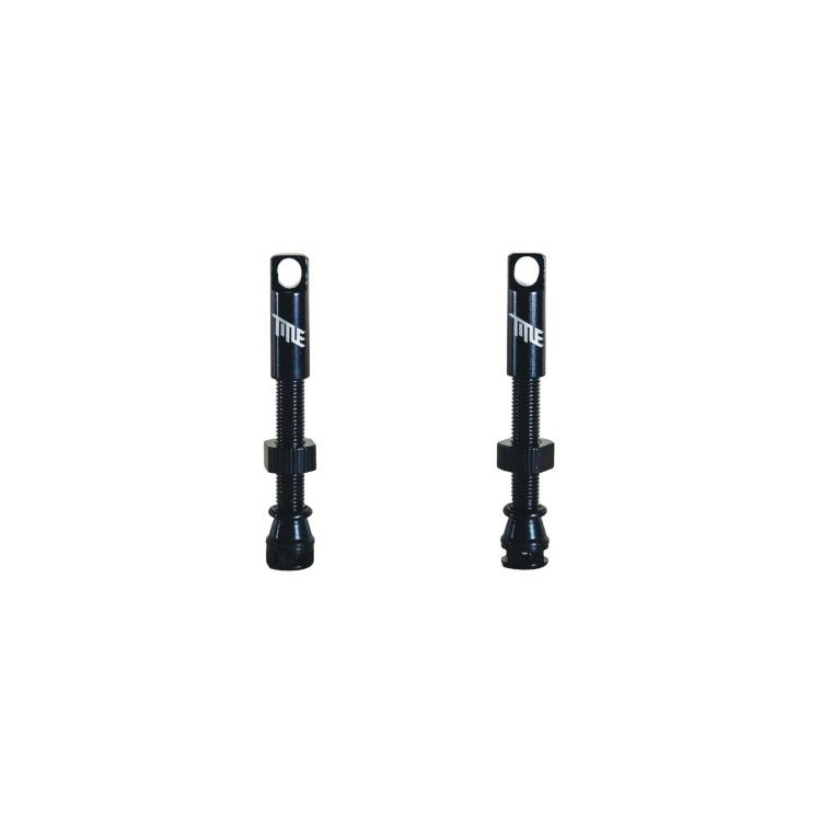 Tubeless Ventil Paar