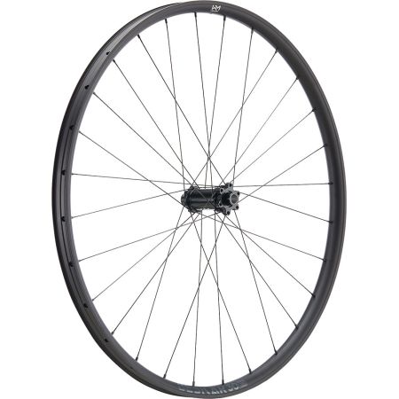 Beskar 30 light Vorderrad