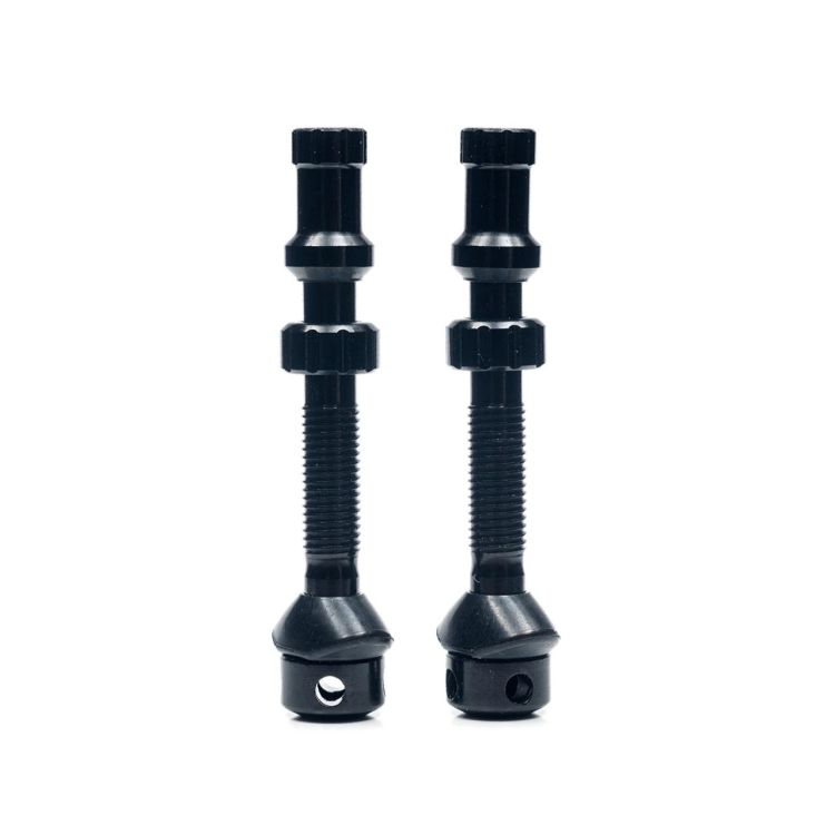 Universal+ Tubeless Ventil Paar