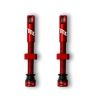 Tubeless Ventil Paar