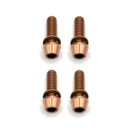 Postmount Titan Schrauben Set – M6x16 für Bremsadapter