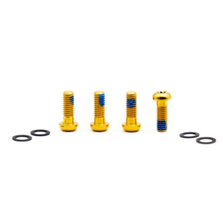 Titan Schrauben Set - M6x16 für Bremsadapter