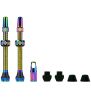 V2 Tubeless Valve Kit