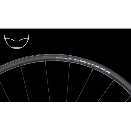 Beskar 30 light Hinterrad