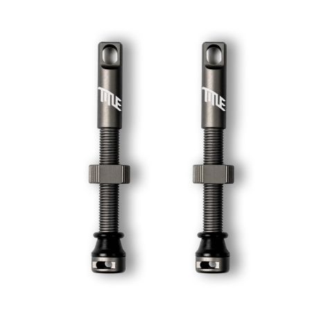 Tubeless Ventil Paar