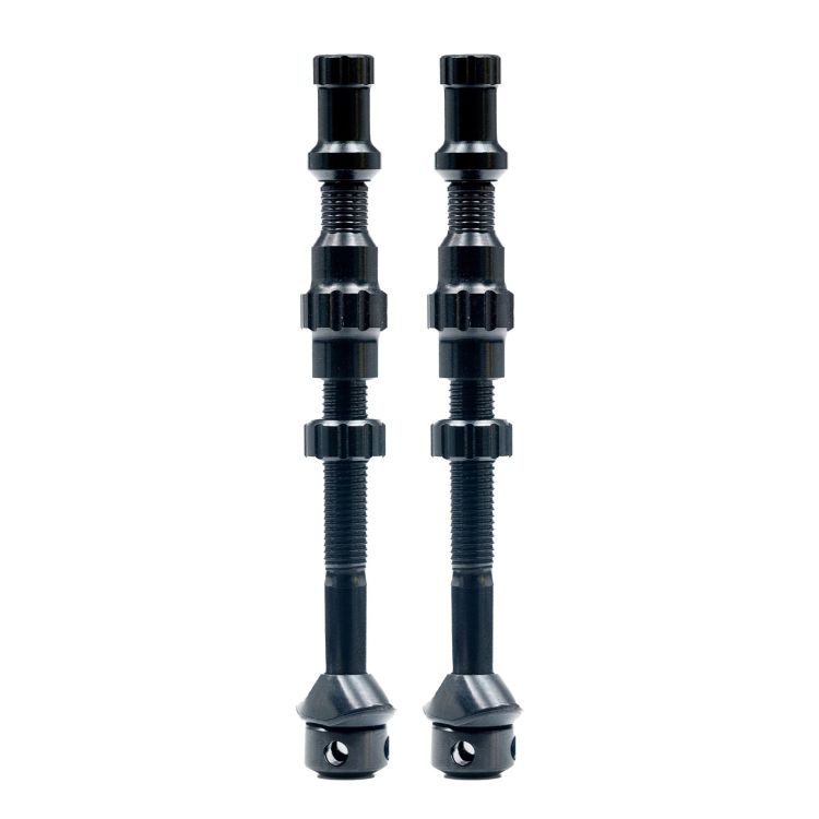 Exo-Core Tubeless Ventil Paar