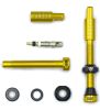 VLV Tubeless Ventil Paar