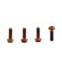 Titan Schrauben Set - M3x9 für SRAM Hebellager & Hope-Deckel