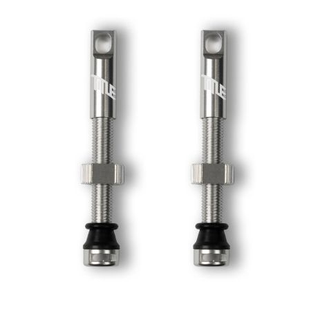Tubeless Ventil Paar