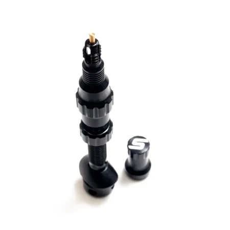 Exo-Core Tubeless Ventil Paar