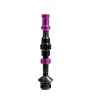 Tubeless Ventil Colour Kit