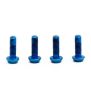 Titan Schrauben Set - M3x9 für SRAM Hebellager & Hope-Deckel