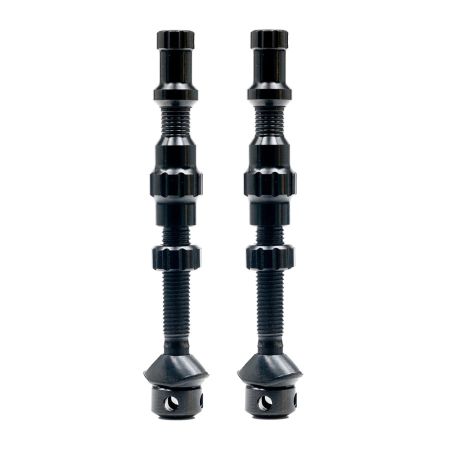Exo-Core Tubeless Ventil Paar