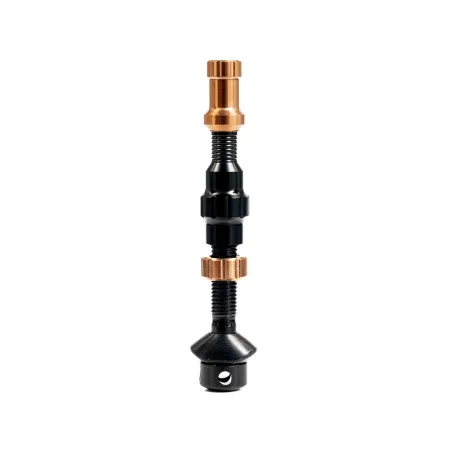 Tubeless Ventil Colour Kit